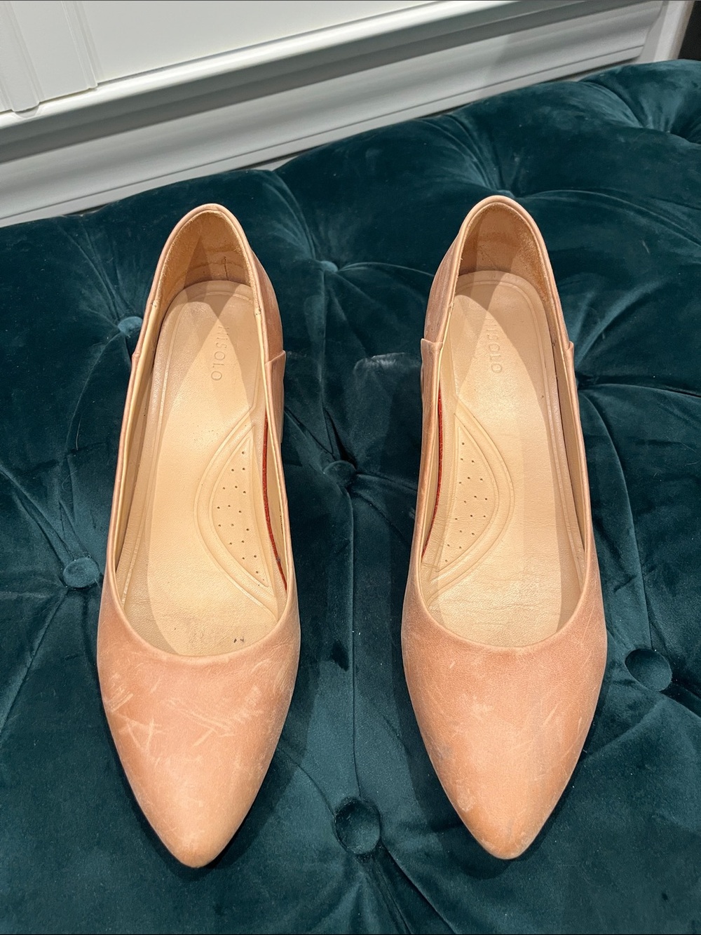 Nisolo Pointed Toe in Blush